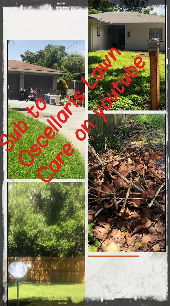 Reliable residential landscaping for residential properties in Saint Petersburg, FL by Oscellaris Lawn Care
