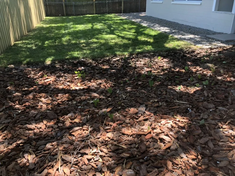 Local yard maintenance in Saint Petersburg, FL by Oscellaris Lawn Care