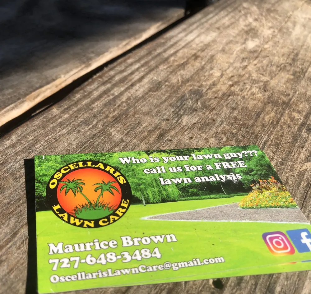 Affordable landscape design for beautiful yards across Saint Petersburg, FL - Oscellaris Lawn Care