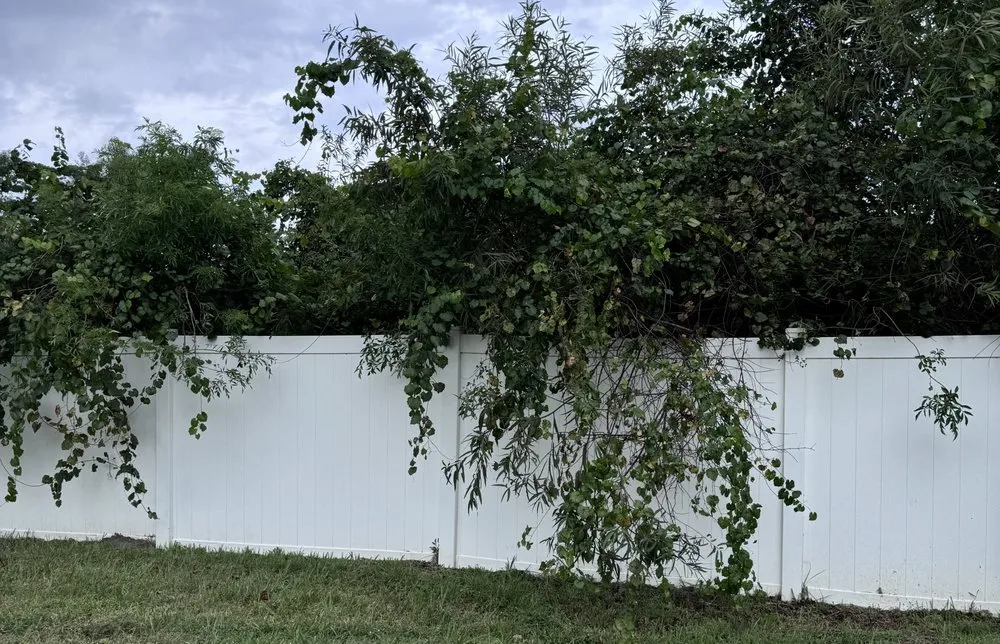 Reliable landscape design for beautiful yards in Kissimmee, FL by Osceola Finest Lawn Care