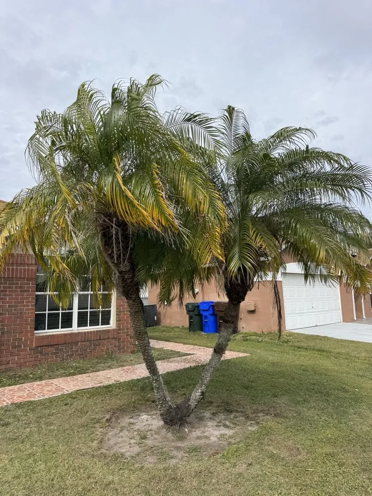 Local landscape design near you in Kissimmee, FL by Osceola Finest Lawn Care