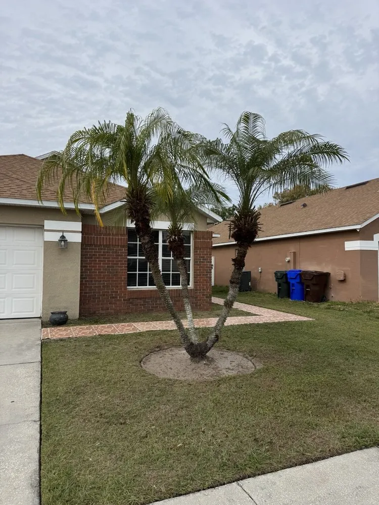 Trusted landscape design with custom design across Kissimmee, FL - Osceola Finest Lawn Care