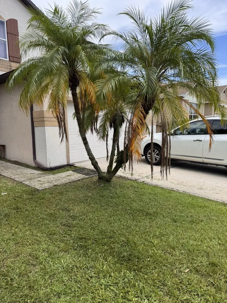 Professional landscape installation in Kissimmee, FL by Osceola Finest Lawn Care