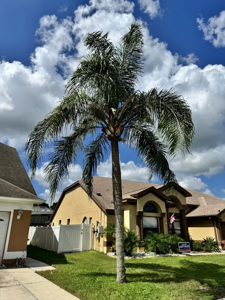 Custom yard cleanup service near you in Kissimmee, FL by Osceola Finest Lawn Care