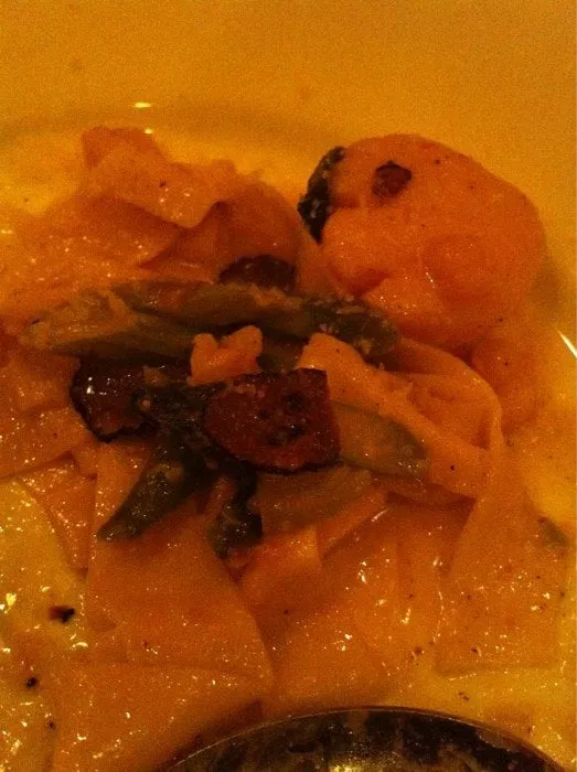 Trusted residential landscaping for residential properties in Kissimmee, FL by Osceola Finest Lawn Care