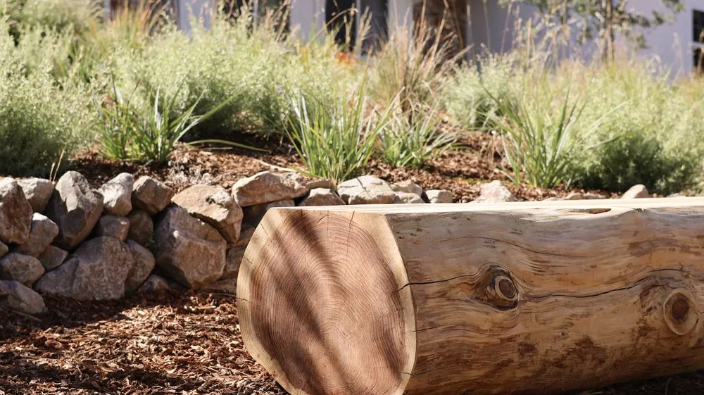 Expert yard cleanup service in Berkeley, CA - Oscito