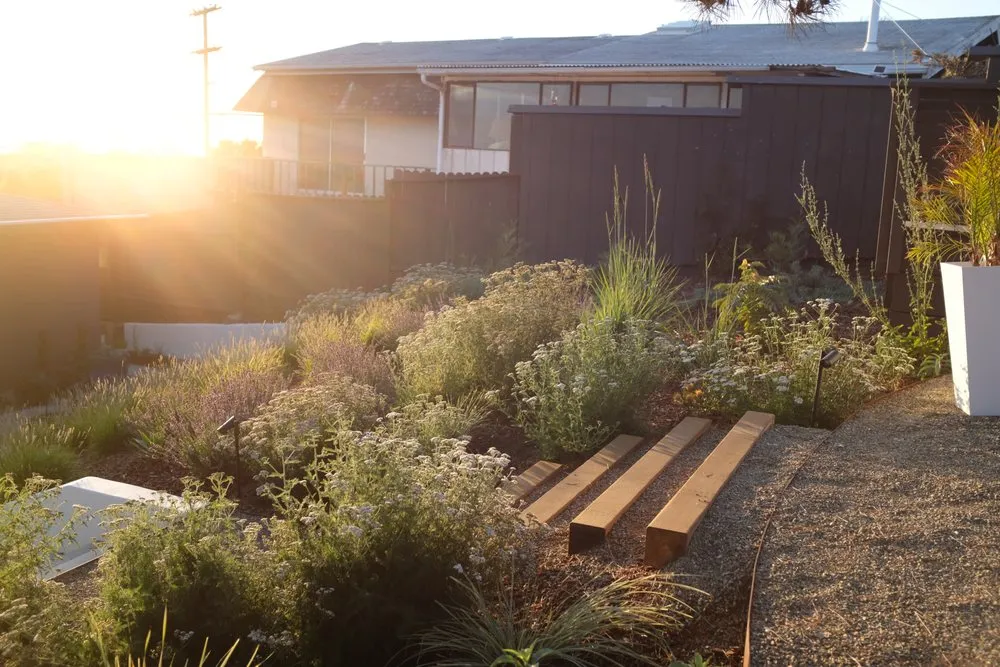 Professional lawn care service for residential properties across Berkeley, CA - Oscito