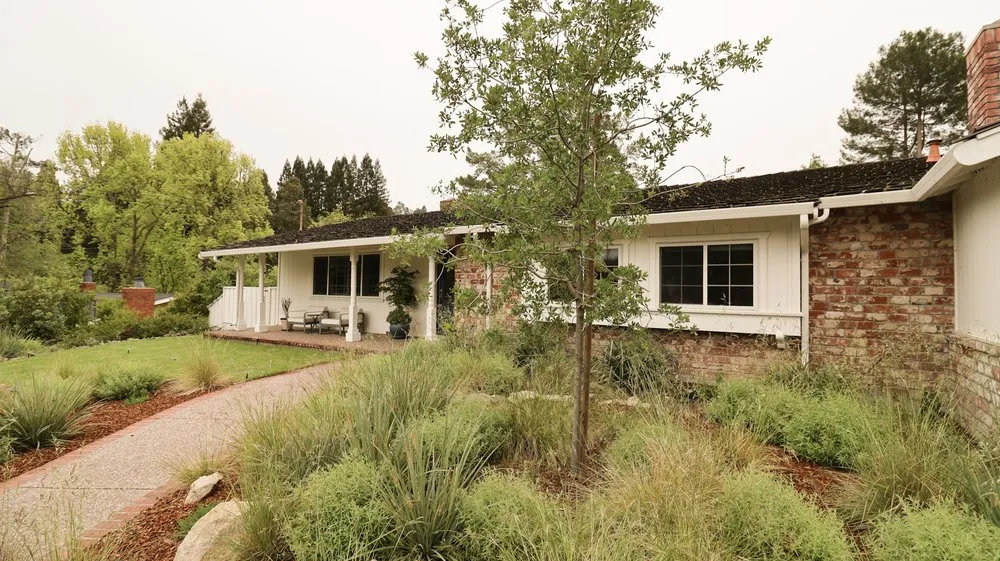 Local yard cleanup service near you in Berkeley, CA by Oscito