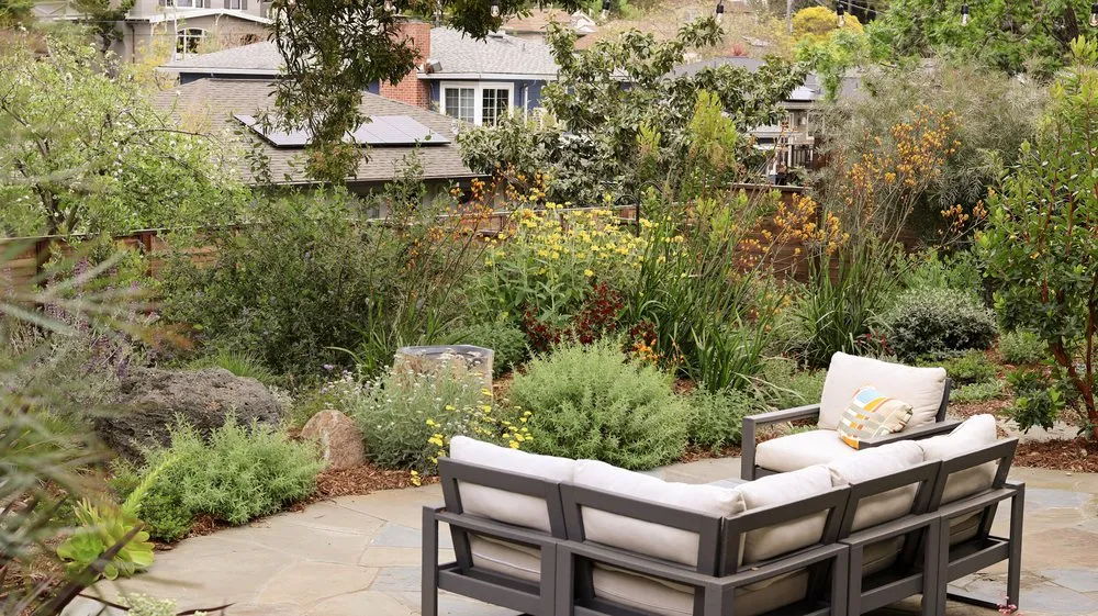 Professional landscaping services for outdoor upgrades across Berkeley, CA - Oscito