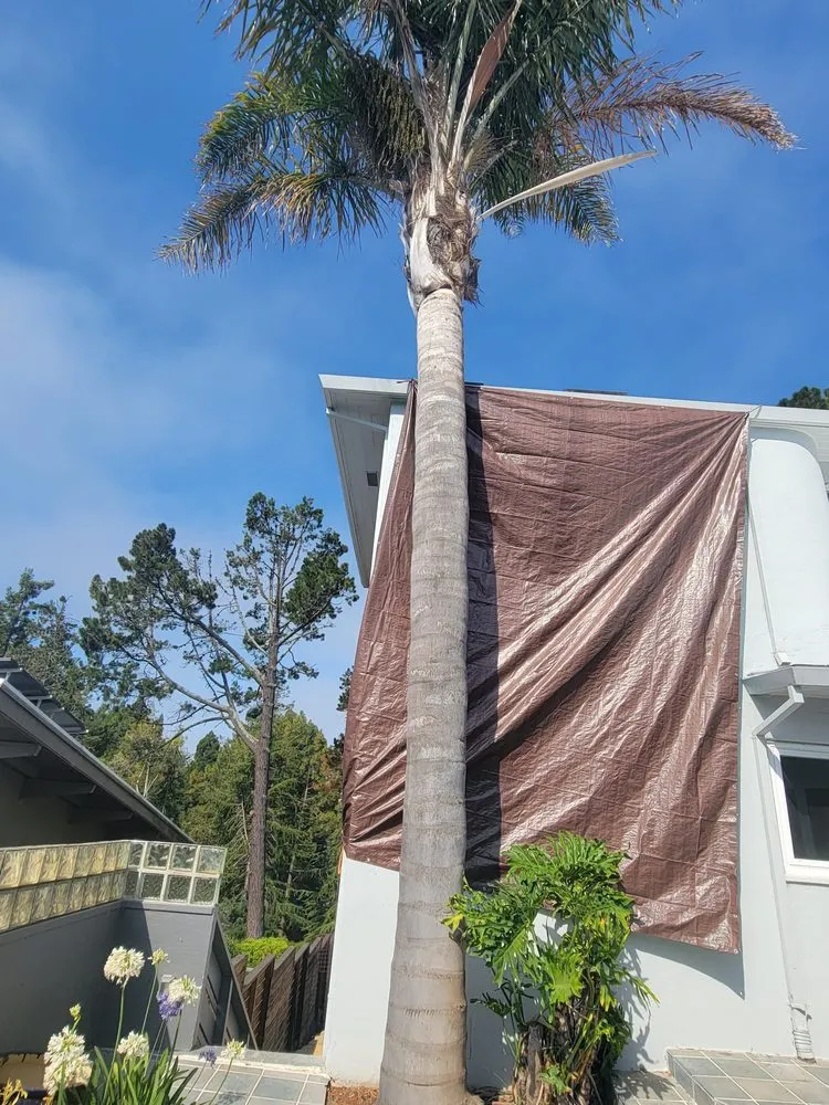 Expert residential landscaping with custom design across Redwood City, CA - Oseguera Tree Service and Landscaping