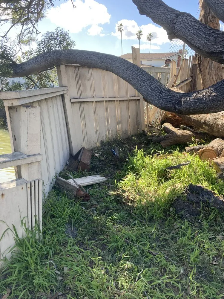 Affordable yard maintenance near you in Redwood City, CA by Oseguera Tree Service and Landscaping