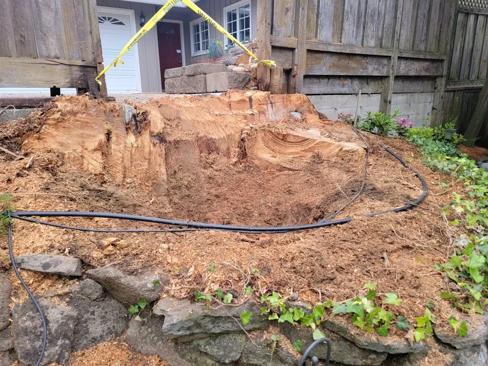 Custom landscaping services in Redwood City, CA - Oseguera Tree Service and Landscaping