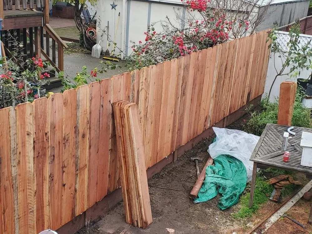 Expert yard cleanup service for year-round maintenance in Redwood City, CA by Oseguera Tree Service and Landscaping