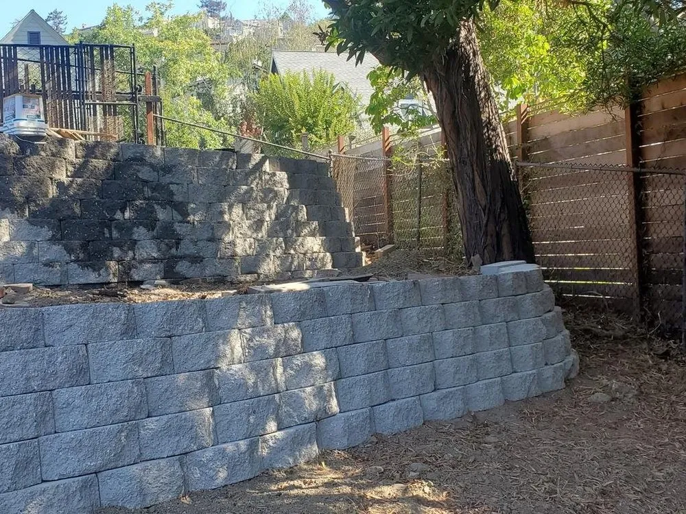 Trusted lawn care service experts serving Redwood City, CA - Oseguera Tree Service and Landscaping