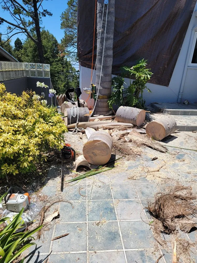 Custom yard cleanup service in Redwood City, CA - Oseguera Tree Service and Landscaping