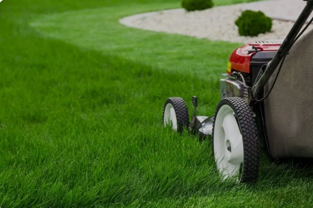 Affordable lawn care service for residential properties in Sonoma, CA by Oseguera's Lanscape Maintenance