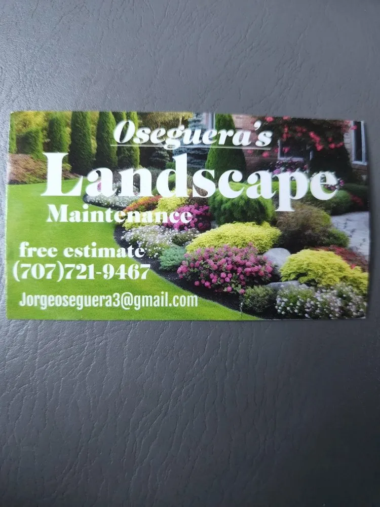 Expert outdoor landscaping experts serving Sonoma, CA - Oseguera's Lanscape Maintenance