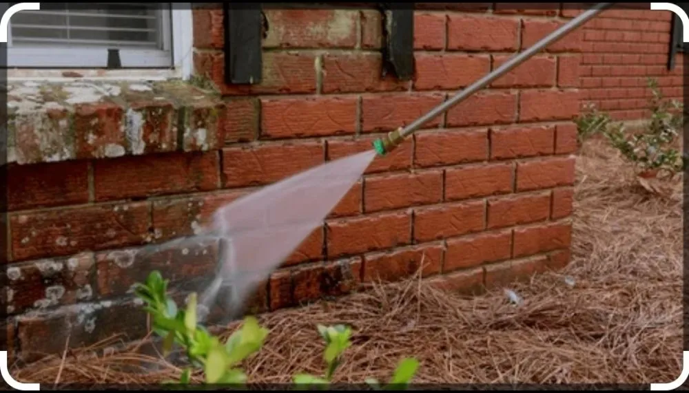 Top-rated outdoor landscaping in Sonoma, CA - Oseguera's Lanscape Maintenance