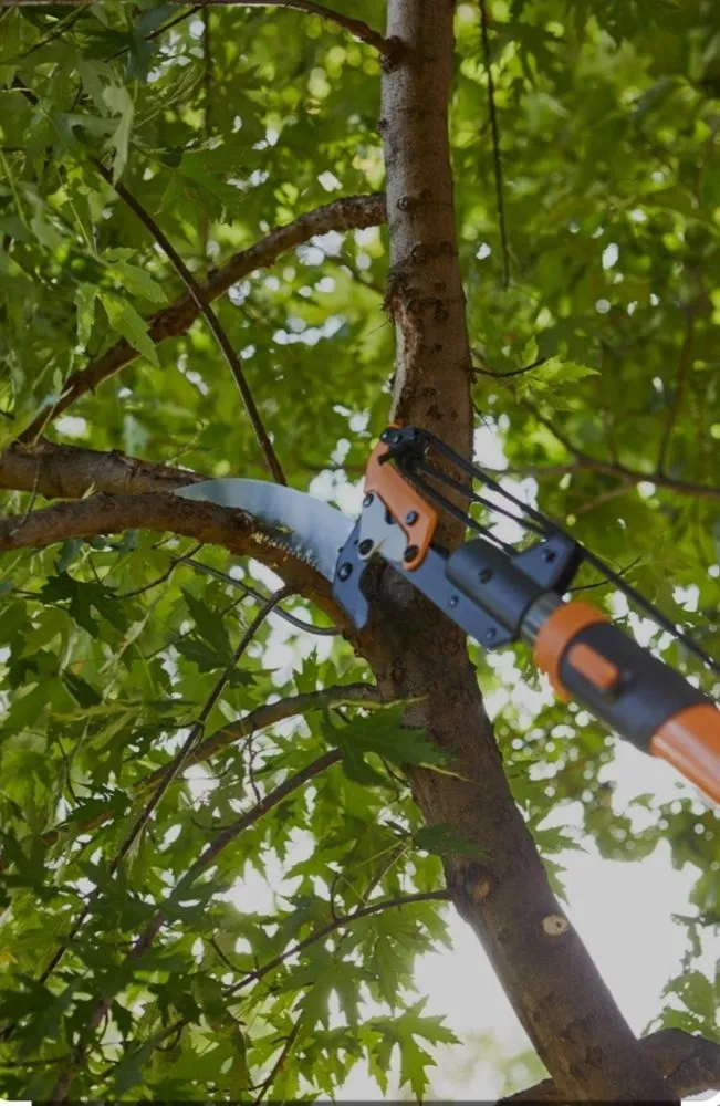 Top-rated lawn mowing service experts serving Sonoma, CA - Oseguera's Lanscape Maintenance