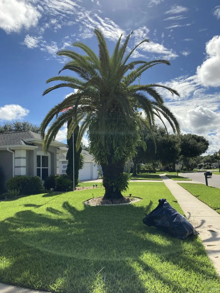 Custom yard maintenance in DeLand, FL by Osem’s Landscaping and More