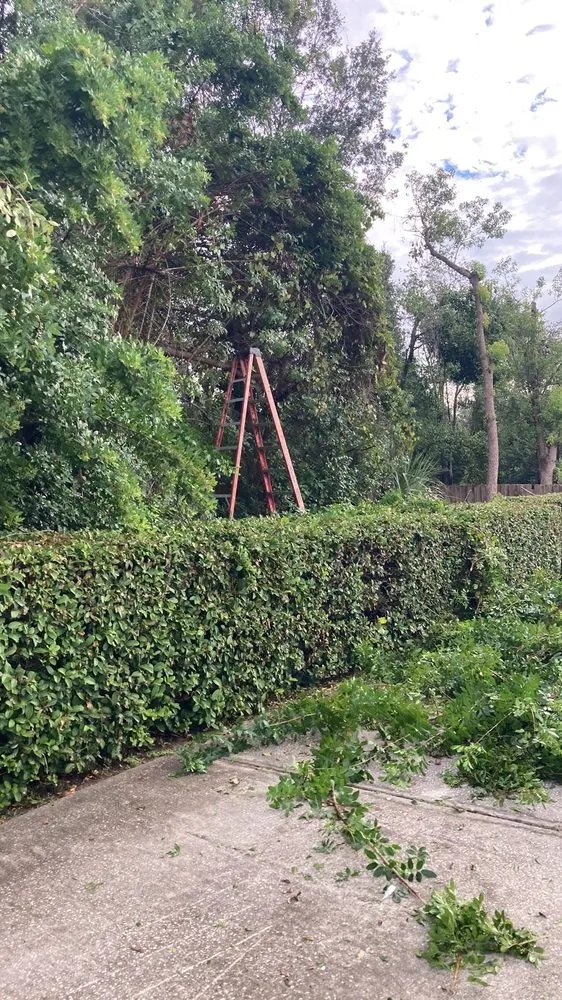 Professional garden landscaping in DeLand, FL - Osem’s Landscaping and More