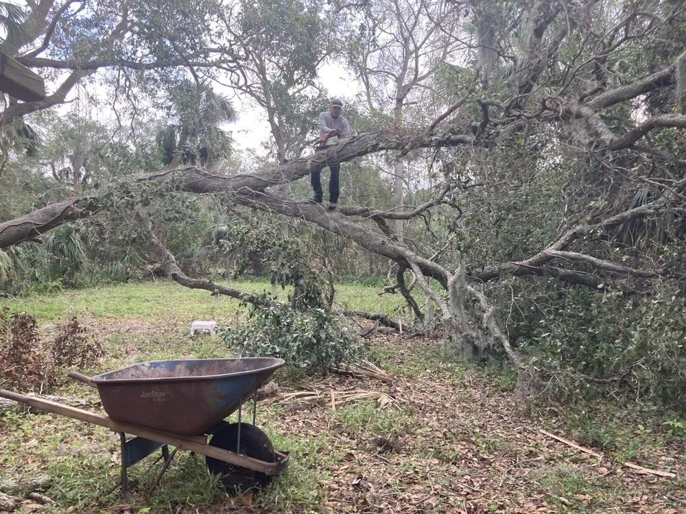 Professional landscape design in DeLand, FL by Osem’s Landscaping and More