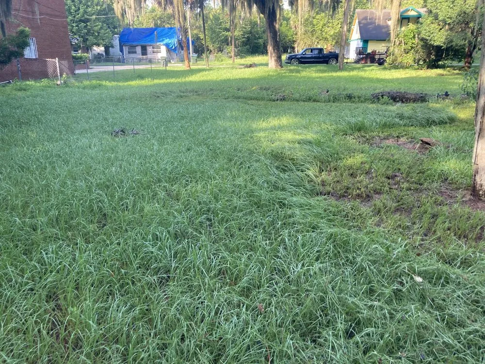 Custom yard cleanup service experts serving DeLand, FL - Osem’s Landscaping and More