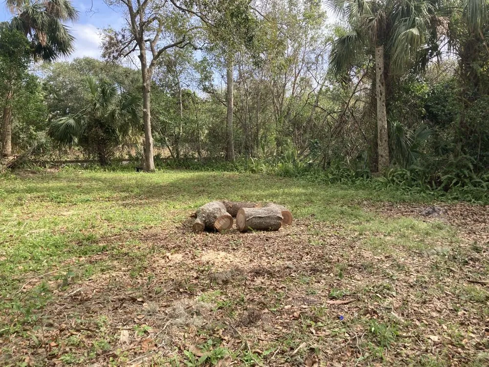 Reliable yard maintenance in DeLand, FL by Osem’s Landscaping and More