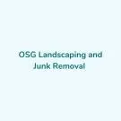 Professional yard cleanup service for residential properties across Savannah, GA - Osg Landscaping & Junk Removal