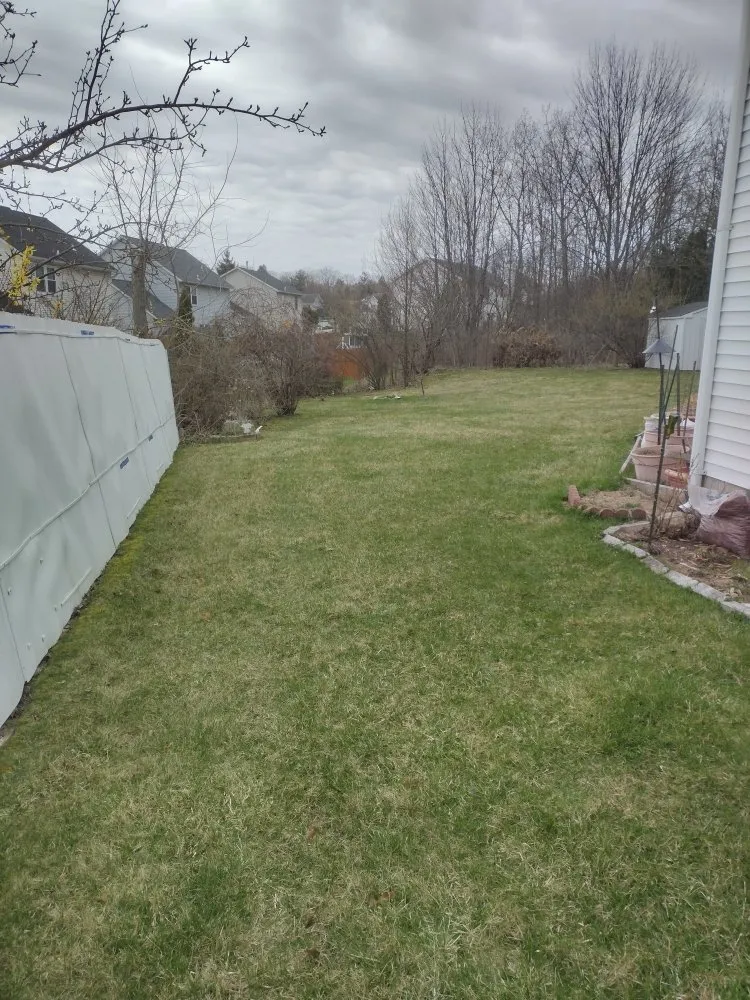 Top-rated lawn care service in Green Island, NY - Osgood Lawn Care