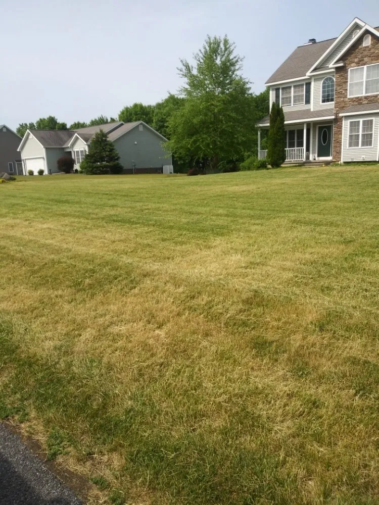 Top-rated landscaping services in Green Island, NY - Osgood Lawn Care