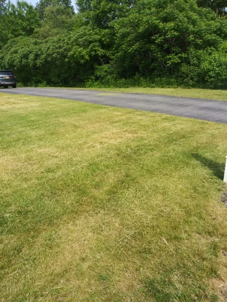 Trusted yard maintenance in Green Island, NY by Osgood Lawn Care