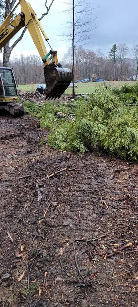 Trusted landscaping services in Indianapolis, IN - Osgood Property Services