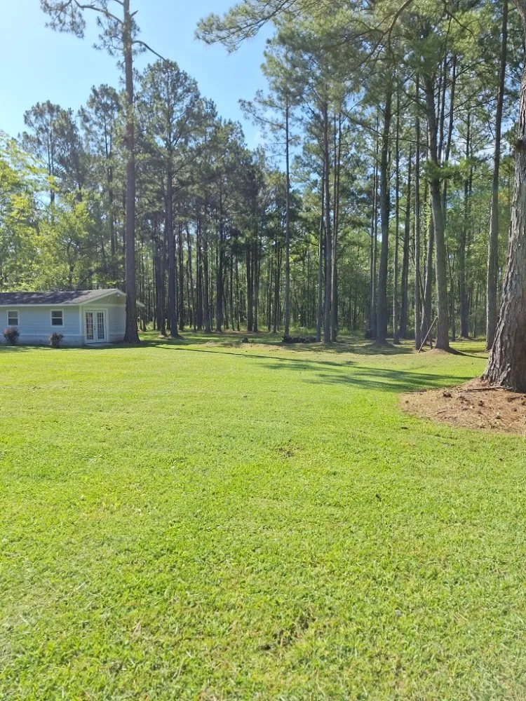 Top-rated yard cleanup service for beautiful yards in Adel, GA by Oshis Lawn Care