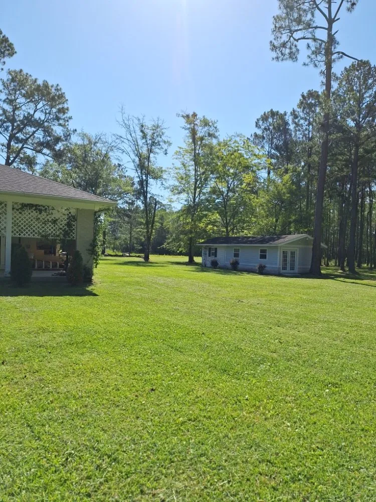 Trusted yard cleanup service in Adel, GA - Oshis Lawn Care