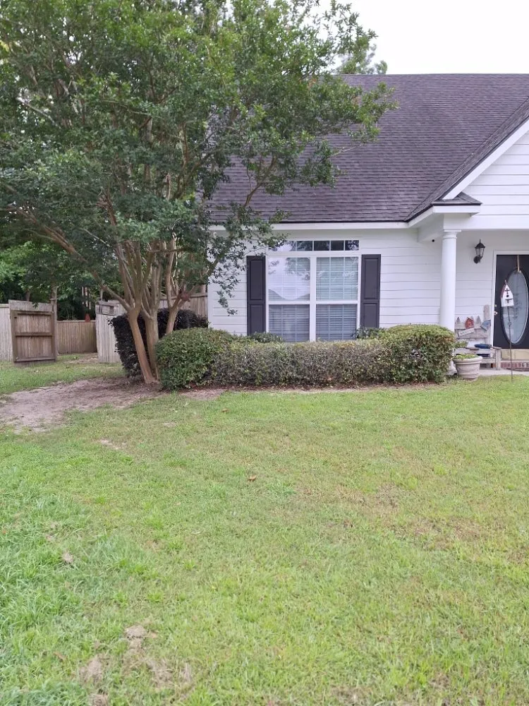 Affordable landscaping services in Adel, GA by Oshis Lawn Care