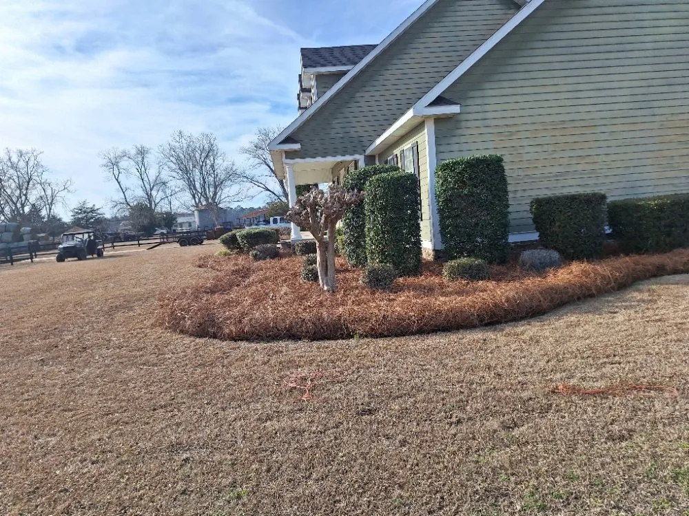 Affordable garden landscaping with custom design across Adel, GA - Oshis Lawn Care