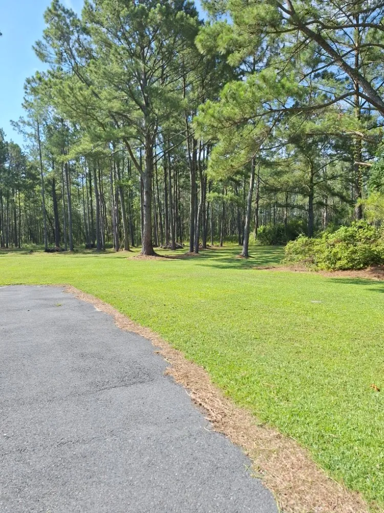 Top-rated lawn care service in Adel, GA by Oshis Lawn Care