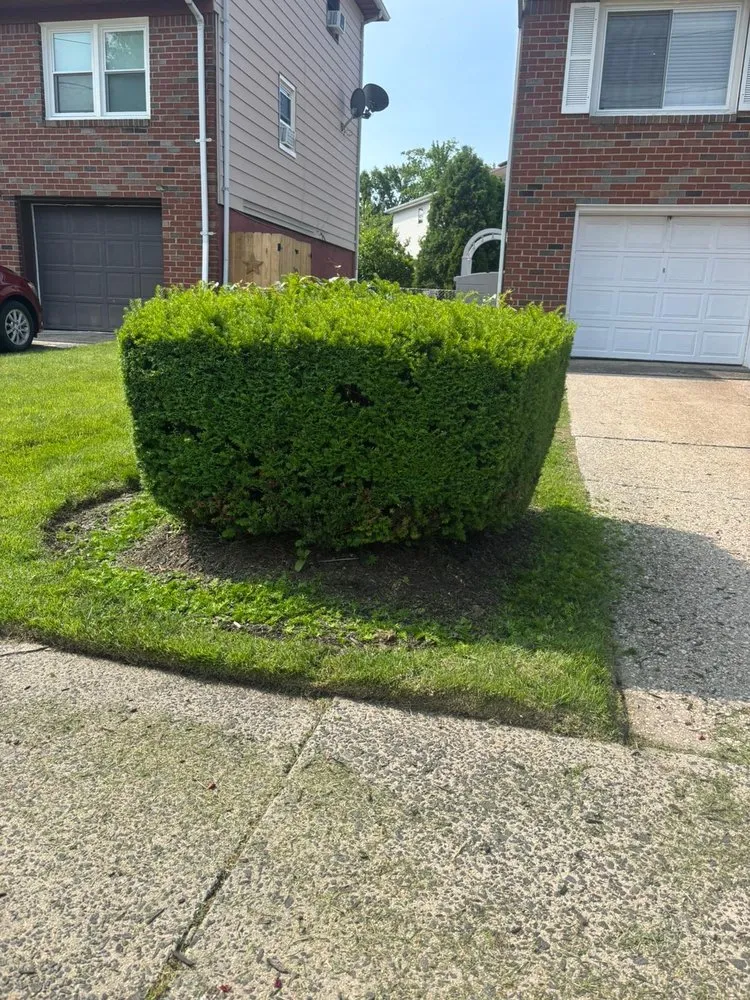 Top-rated yard cleanup service in Midland Park, NJ - Osiel Landscaping