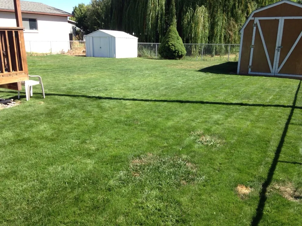 Top-rated yard maintenance for beautiful yards in Pocatello, ID by OSLC