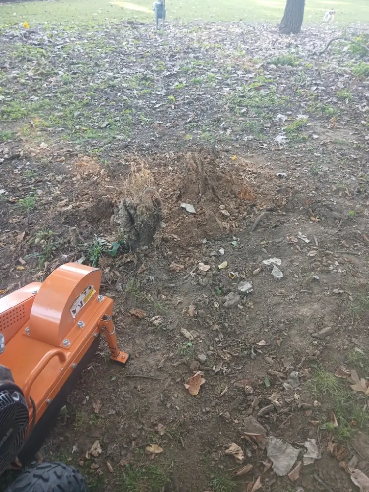 Affordable residential landscaping for residential properties in Mannford, OK by Oslins Stump Grinding