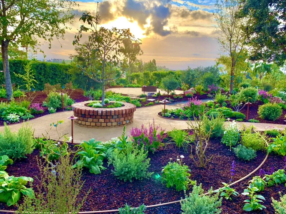 Expert landscape design experts serving Vista, CA - Osmar Landscape