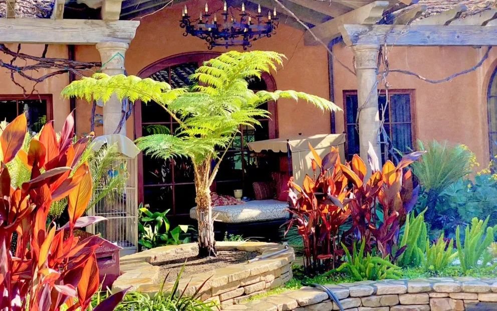 Local yard cleanup service in Vista, CA by Osmar Landscape