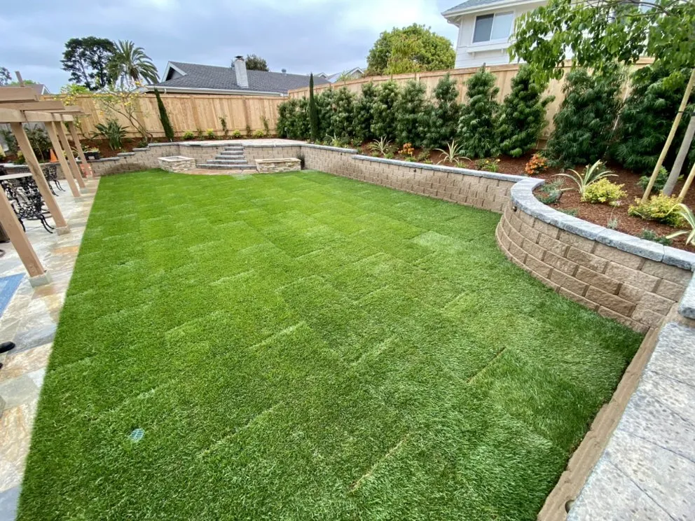 Reliable yard cleanup service near you across Vista, CA - Osmar Landscape