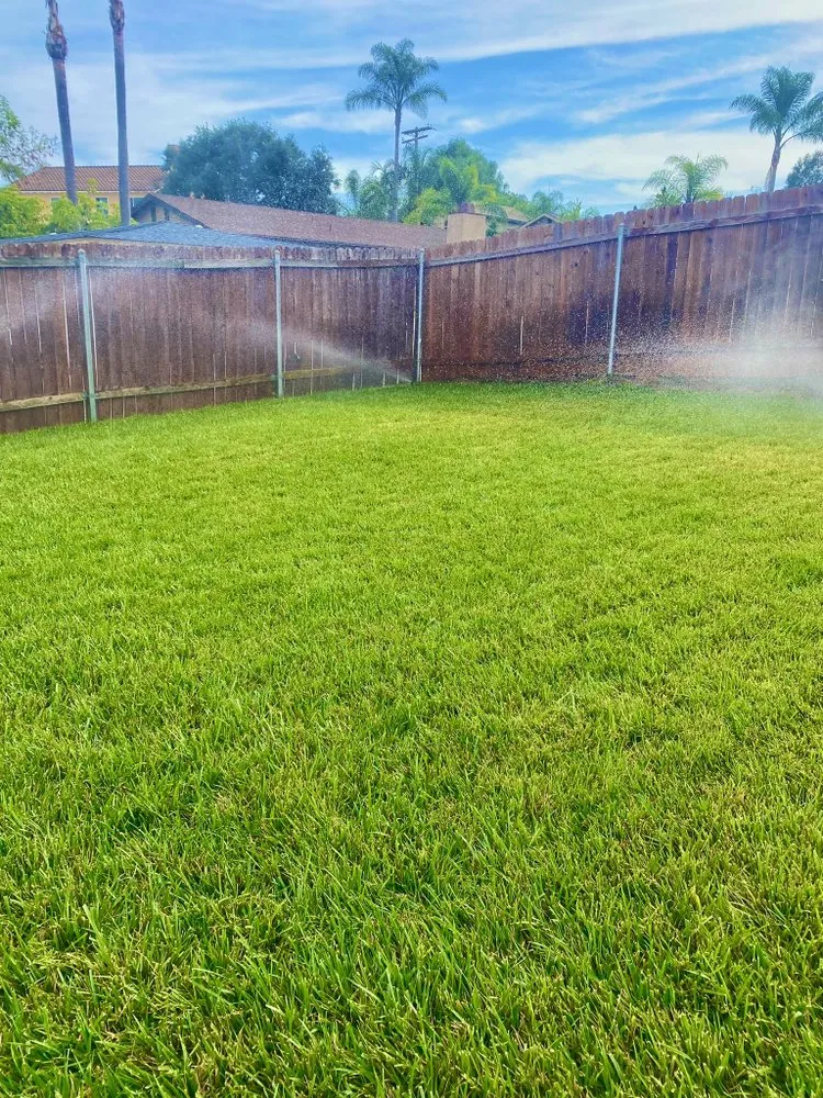 Local landscaping services in Vista, CA - Osmar Landscape