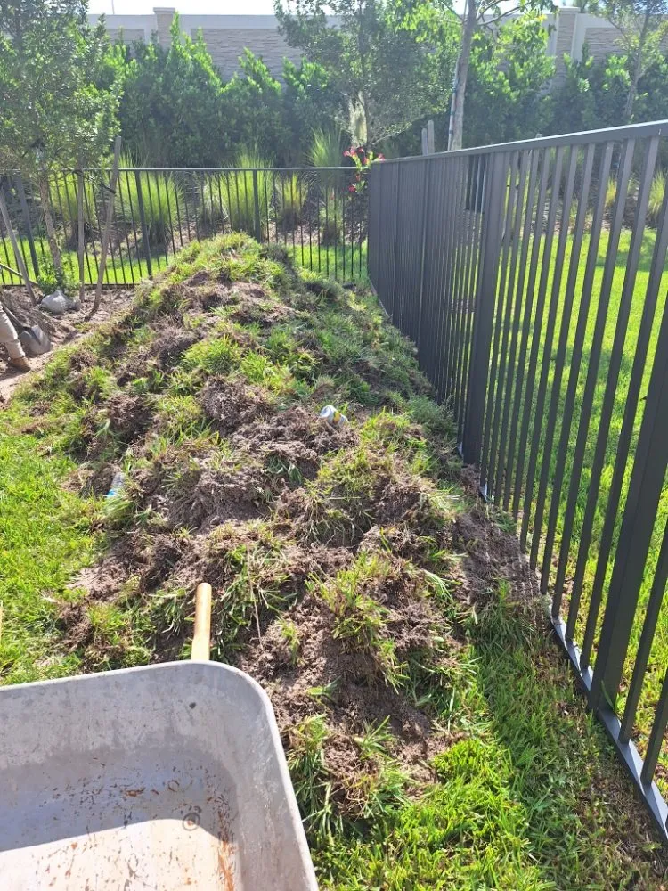 Top-rated yard cleanup service in Lake Worth, FL - Osmel Pavers