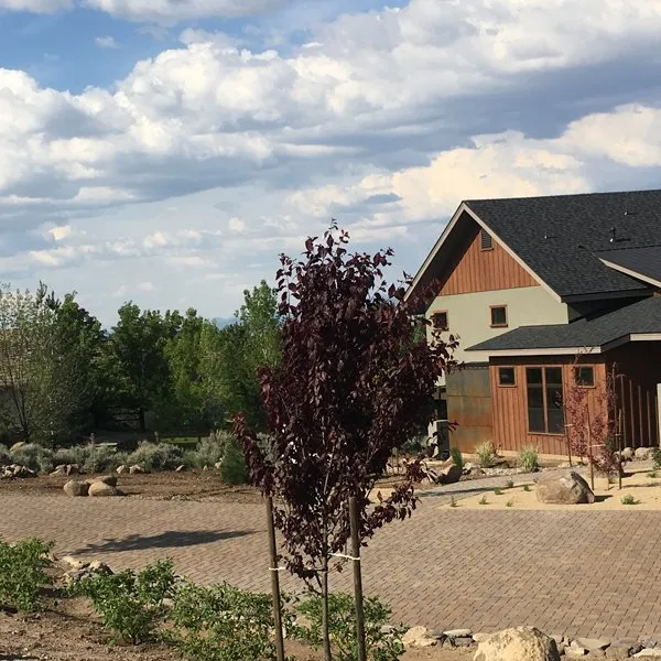 Reliable landscape installation experts serving Sun Valley, NV - Oso Negro Landscaping