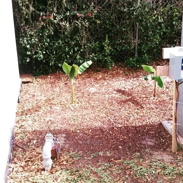 Expert yard maintenance in Bartow, FL - Osofla Fencing and Landscaping