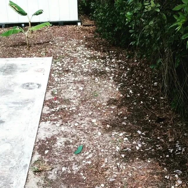 Trusted outdoor landscaping for year-round maintenance across Bartow, FL - Osofla Fencing and Landscaping