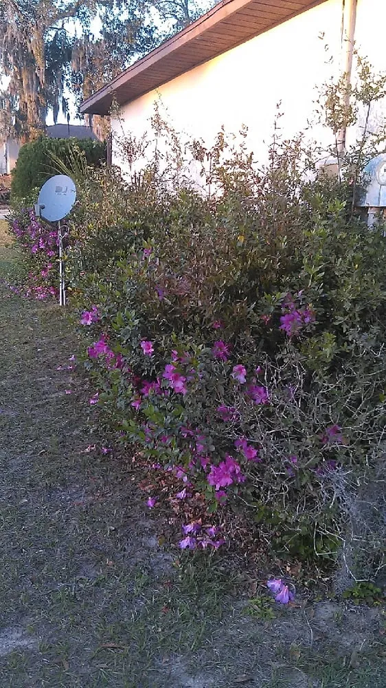 Trusted outdoor landscaping for residential properties across Bartow, FL - Osofla Fencing and Landscaping